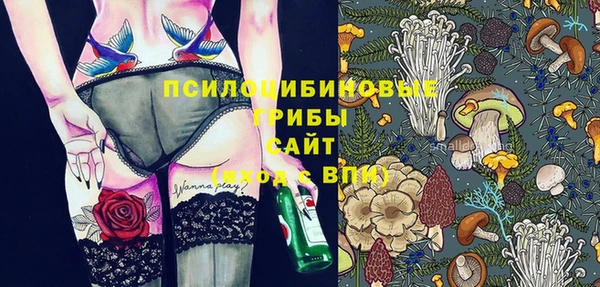 мет Абаза