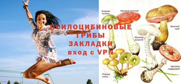 гидра Алексин