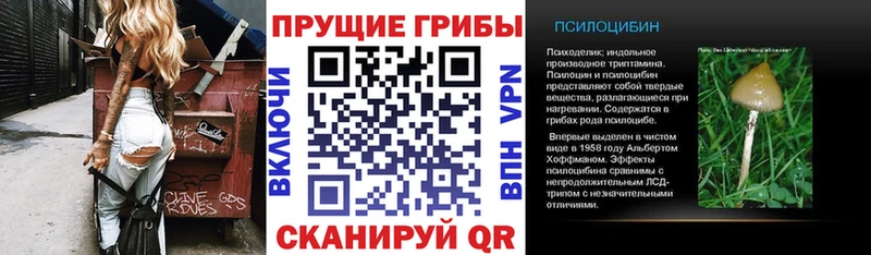 Псилоцибиновые грибы Magic Shrooms  даркнет сайт  Уфа 